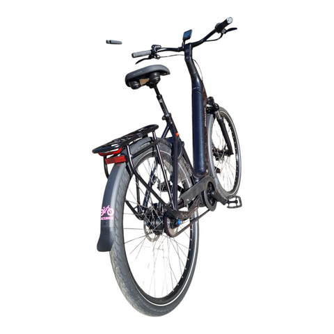 Schlank, stark und stylish: So macht Radfahren mit der Batavus Finez E-go Power richtig Laune!