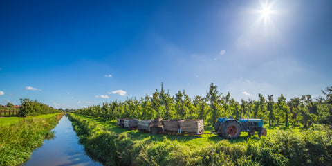 TOUR Altes Land