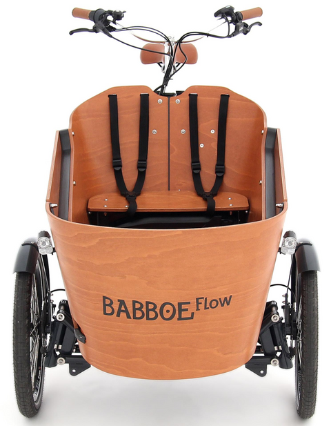 Babboe Flow Mountain: Tolles Design - starker Motor