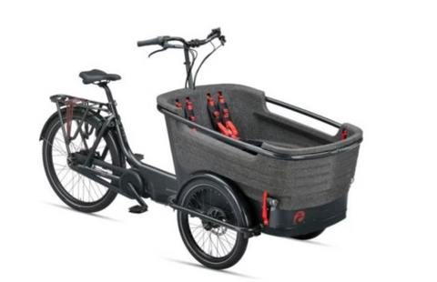 Platz für bis zu 4 Kinder - das Batavus Lastenrad Fier-3