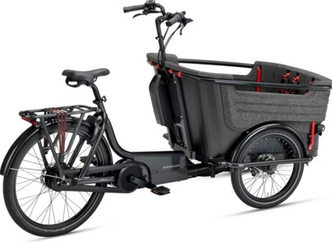 Platz für bis zu 4 Kinder - das Batavus Lastenrad Fier-3