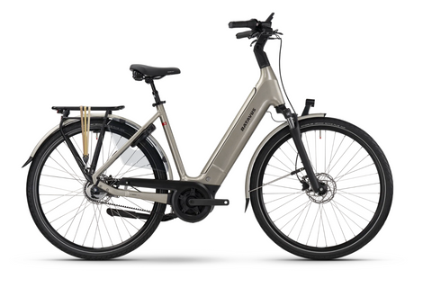 Batavus Finez E-go Power Exclusive Plus