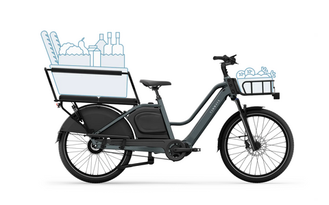 TENWAYS Longtail DUO