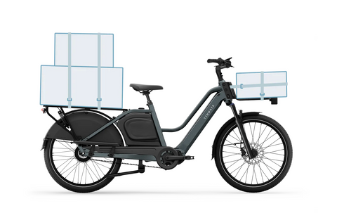 TENWAYS Longtail DUO