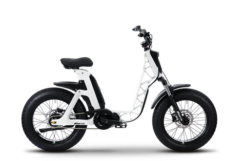 Fantic Issimo