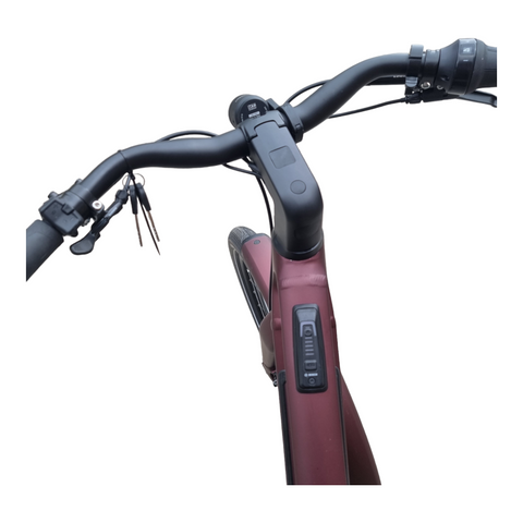 Schnell, schick und vielseitig: Mit dem Winora iRide Pure R5f bist du immer stylish unterwegs