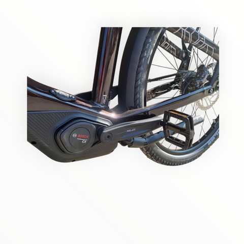 Mit dem Winora Yakun R5 zum ultimativen Fahrvergnügen – entdecke die Kraft von 600 Wh!