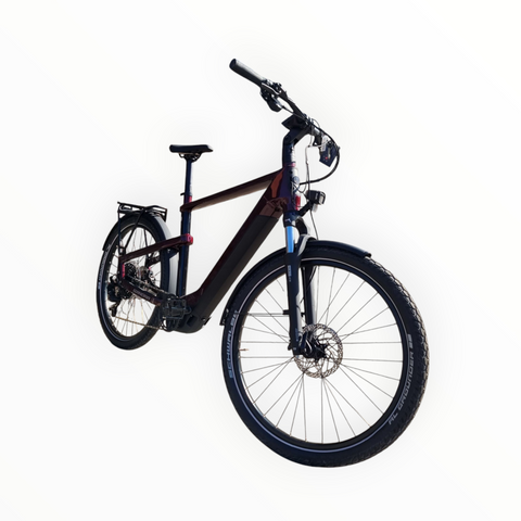 Mit dem WINORA Yakun X10E wird jeder Ausflug zum Abenteuer – erfahren Sie mehr über dieses vielseitige eBike!