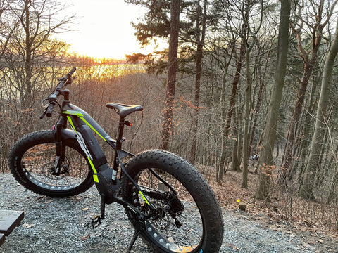 MIETE Fantic Integra FAT Sport - Hamburg