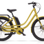 Der Durchstieg, der die Messlatte höher legt - das eJoy 5i von Benno Bikes