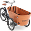 Babboe Flow Mountain: Tolles Design - starker Motor