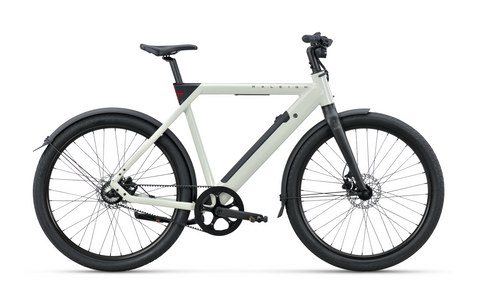 Raleigh One: zurück zu den Wurzeln der urbanen Mobilität