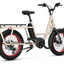 BENNO BIKES RemiDemi XL EVO 2
