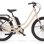 Der Durchstieg, der die Messlatte höher legt - das eJoy 5i von Benno Bikes