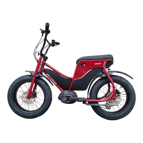 Fahre mit Stil: Das Ruff Cycles Lil Missy eBike - Kompakt, kraftvoll und einfach cool!
