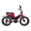 Fahre mit Stil: Das Ruff Cycles Lil Missy eBike - Kompakt, kraftvoll und einfach cool!
