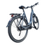 Einfach elektrisierend: Das Batavus Altura E-go® Power Plus  - Ein Damen-City-E-Bike der Extraklasse!