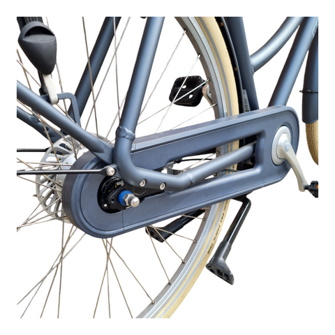 Mit dem Batavus PACKD E-go durch die City flitzen: So macht Radfahren wieder Spaß – auch ohne Muskelkater!