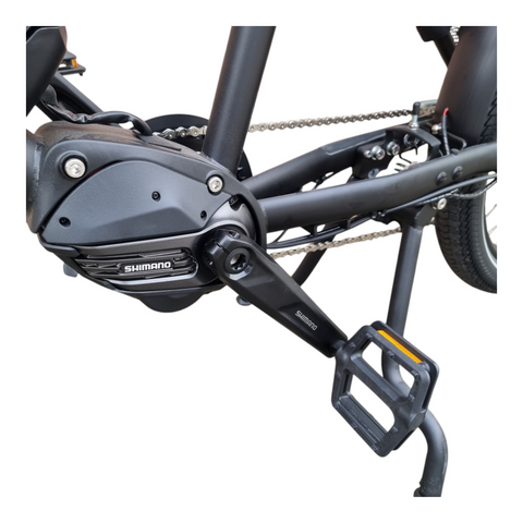 „Platzwunder auf zwei Rädern: Entdecken Sie das Geheimnis des Xtracycle RFA für stressfreies Fahren mit Kindern!“