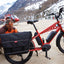 MIETE Benno oder Xtracycle Lastenrad - Hamburg