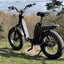 Fantic Issimo